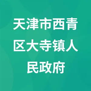 天津市西青区大寺镇人民政府