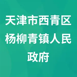天津市西青区杨柳青镇人民政府