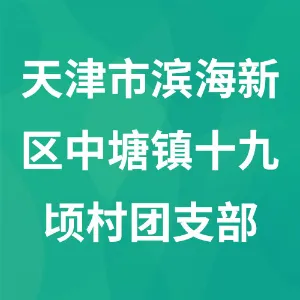 天津市滨海新区中塘镇十九顷村团支部