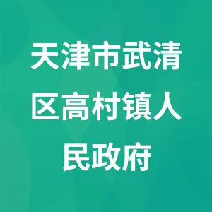 天津市武清区高村镇人民政府