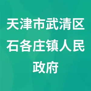 天津市武清区石各庄镇人民政府