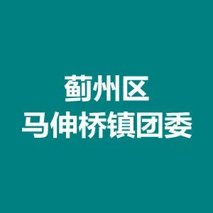 天津市蓟州区马伸桥镇团委