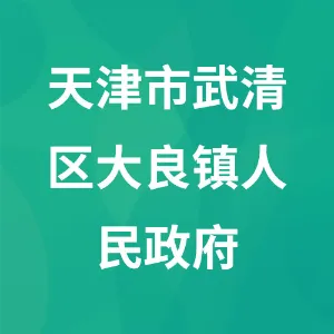 天津市武清区大良镇人民政府