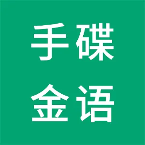 广东手碟金语科技有限公司