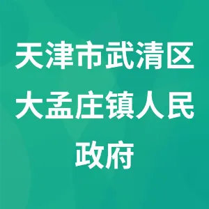 天津市武清区大孟庄镇人民政府