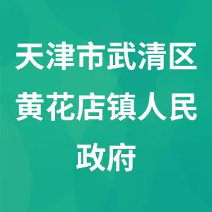 天津市武清区黄花店镇人民政府