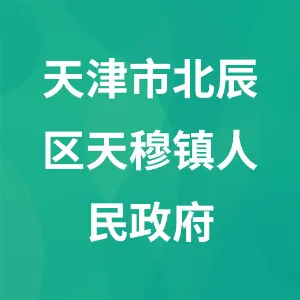 天津市北辰区天穆镇人民政府