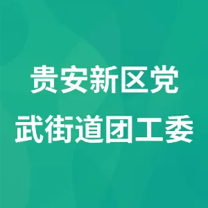 贵安新区党武街道团工委