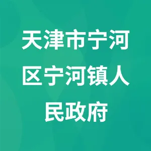 天津市宁河区宁河镇人民政府