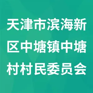 天津市滨海新区中塘镇中塘村村民委员会