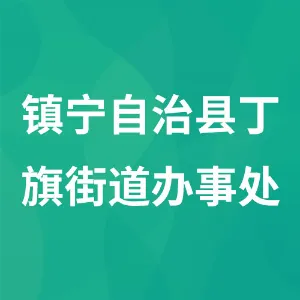 镇宁自治县丁旗街道办事处