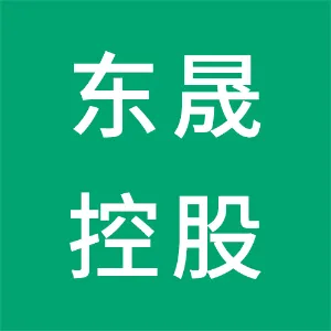 东莞市东晟控股集团有限公司