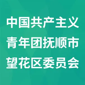 中国共产主义青年团抚顺市望花区委员会