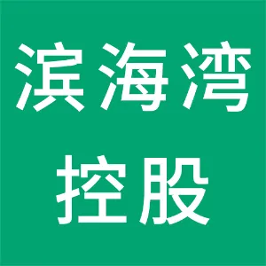 东莞市滨海湾新区控股有限公司