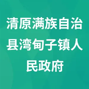 清原满族自治县湾甸子镇人民政府