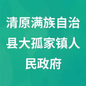 清原满族自治县大孤家镇人民政府