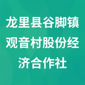 龙里县谷脚镇观音村股份经济合作社