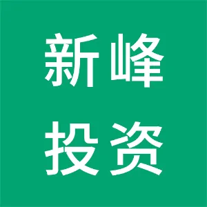广东新峰投资集团有限公司