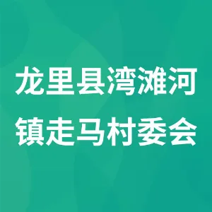 龙里县湾滩河镇走马村委会