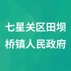 七星关区田坝桥镇人民政府