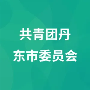 共青团丹东市委员会