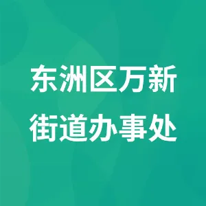 东洲区万新街道办事处