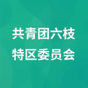 共青团六枝特区委员会