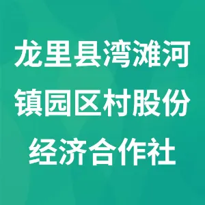 龙里县湾滩河镇园区村股份经济合作社