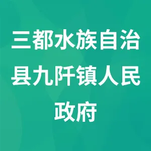 三都水族自治县九阡镇人民政府