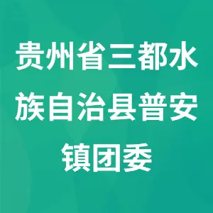 贵州省三都水族自治县普安镇团委