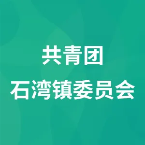 共青团石湾镇委员会