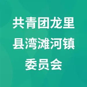 共青团龙里县湾滩河镇委员会