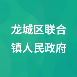 朝阳市龙城区联合镇人民政府