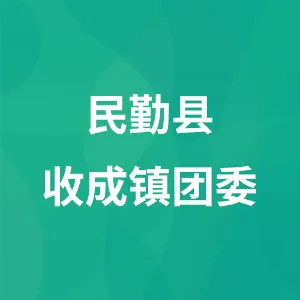 民勤县收成镇团委