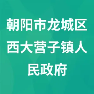 朝阳市龙城区西大营子镇人民政府
