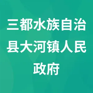 三都水族自治县大河镇人民政府