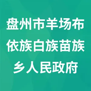 盘州市羊场布依族白族苗族乡政府