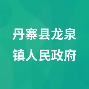丹寨县龙泉镇人民政府
