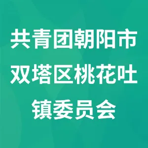 中国共产主义青年团朝阳市双塔区桃花吐镇委员会