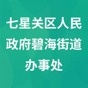 毕节市七星关区人民政府碧海街道办事处