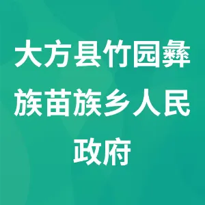 大方县竹园彝族苗族乡人民政府