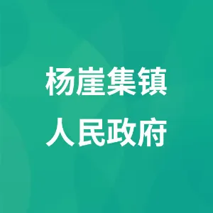 杨崖集镇人民政府