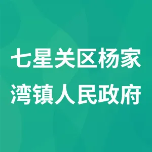 七星关区杨家湾镇人民政府