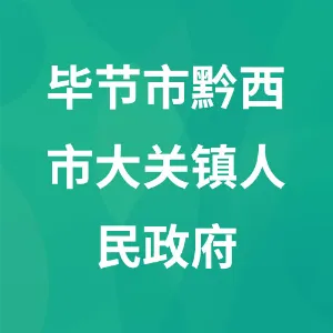 贵州省毕节市黔西市大关镇人民政府