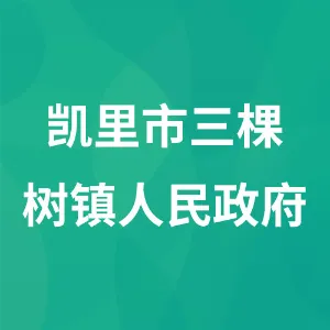 凯里市三棵树镇人民政府