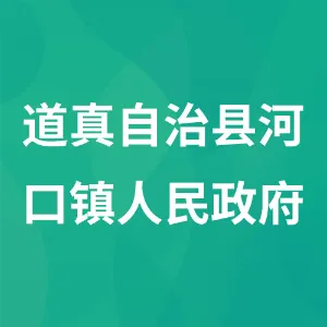 道真自治县河口镇人民政府