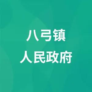 八弓镇人民政府