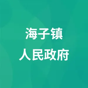 海子镇人民政府