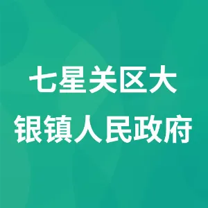 七星关区大银镇人民政府
