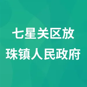 七星关区放珠镇人民政府